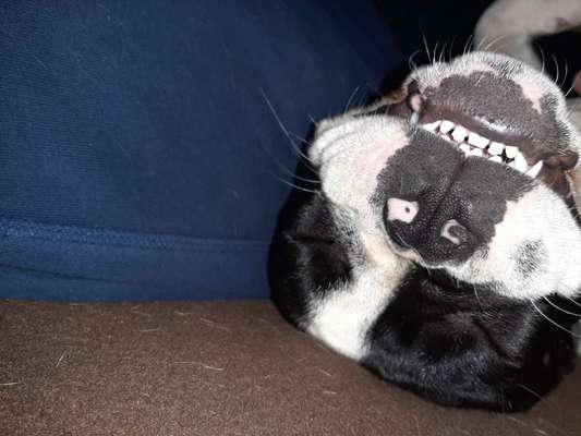 Die unbequemsten und lustigsten Schlafpositionen-Beitrag-Bild