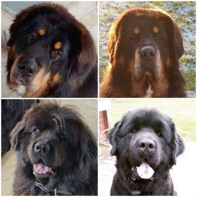 Lieblingsbild :D-Beitrag-Bild