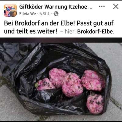 Giftköder-Giftköder-Bild