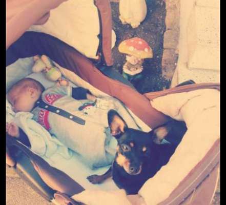 Unsere Sternchen ******-Beitrag-Bild