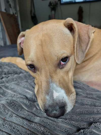 Blick fürs Detail!-Beitrag-Bild