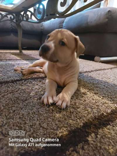 Sie werden so schnell erwachsen ...-Beitrag-Bild