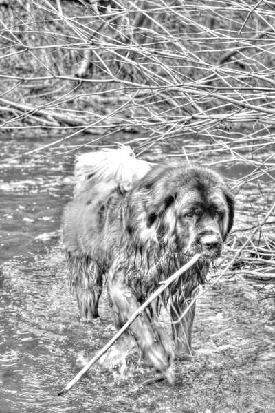 3. Farben/Fotochallenge: Schwarz/Weiß-Beitrag-Bild