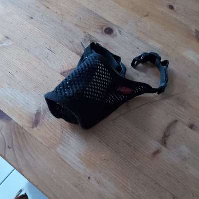 Maulkorb gegen Fressen-Beitrag-Bild