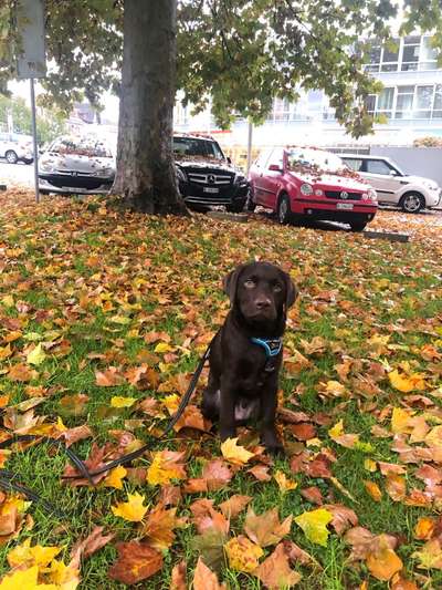 Foto Challenge 2 BEENDET 
Bitte aktuelle Challenge nutzen-Beitrag-Bild