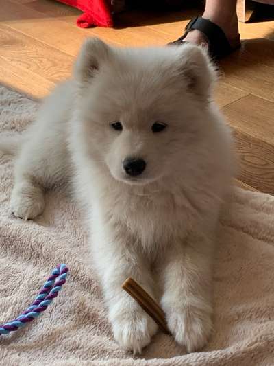 Erstes Bild-Beitrag-Bild