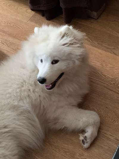 Handy-foto Challange nr. 11-Beitrag-Bild