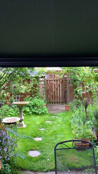 Samojede-Beitrag-Bild