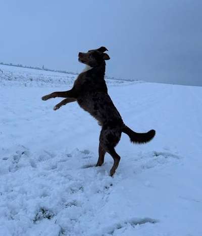 "Die eingefangene Magie des Augenblicks"-Beitrag-Bild