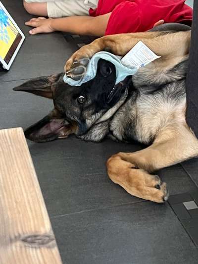 Lustige Grimassen & verrückte Posen-Beitrag-Bild