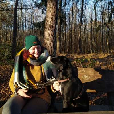 Hundetreffen-Hundebuddies gesucht!-Bild