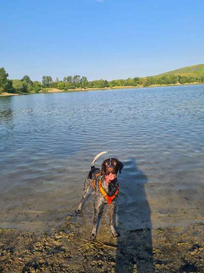 Seltene Rassen!-Beitrag-Bild