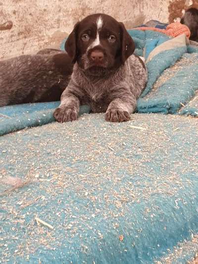 Sie werden so schnell erwachsen ...-Beitrag-Bild