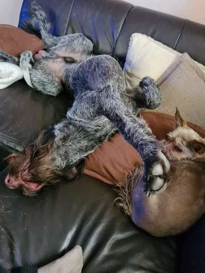 CHALLENGE NR. 34 - Liege-/Schlafpositionen-Beitrag-Bild