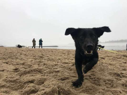 Eure Strandbilder :)-Beitrag-Bild