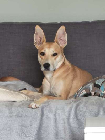 Zeigt eure Portraits-Beitrag-Bild