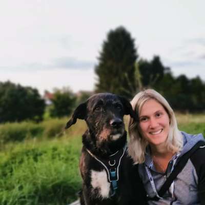 Hundetreffen-Spaziergang in Schirmitz-Bild