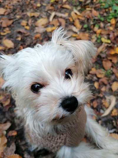 Lieblingsbild-Beitrag-Bild