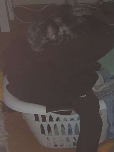 Challenge Nr 14
Eure Fellnasen auf ihrem Lieblingsplatz-Beitrag-Bild