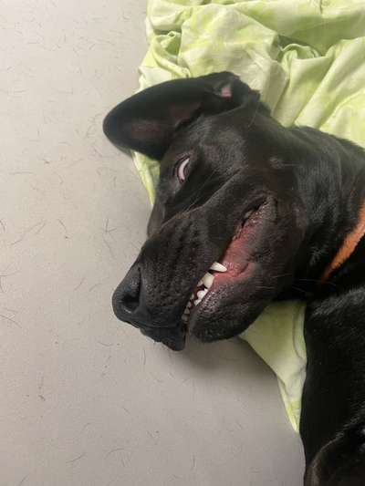 Her mit dem Grimassen-Beitrag-Bild