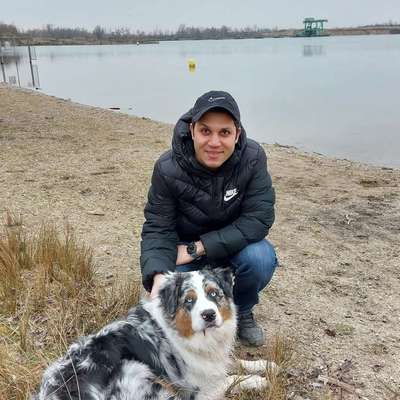 Hundetreffen-„Gerne gemeinsam Gassi gehen“-Bild