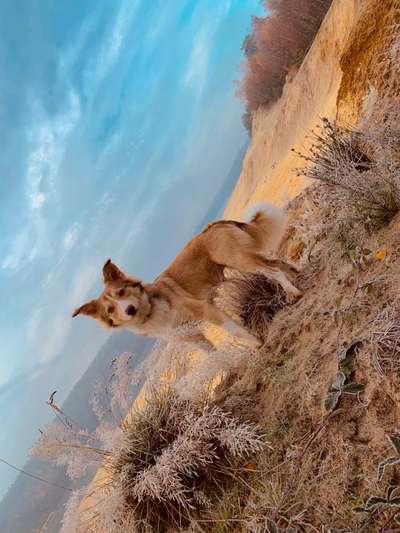 Fotochallange Nr. 57     PORTRÄT.   Beendet!!!!!!!!-Beitrag-Bild