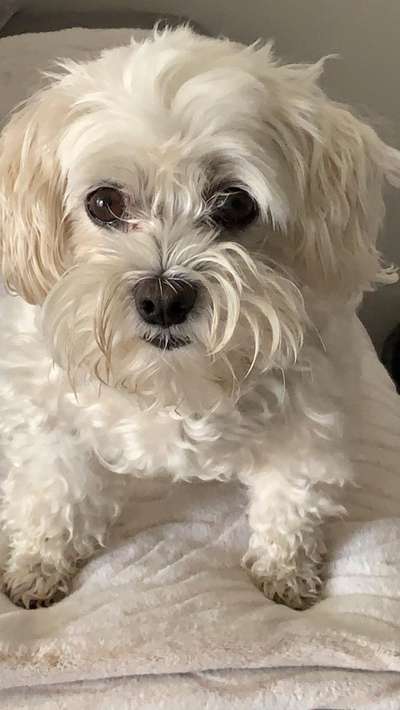 Fotochallange Nr. 57     PORTRÄT.   Beendet!!!!!!!!-Beitrag-Bild