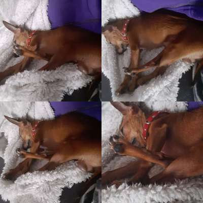 Die unbequemsten und lustigsten Schlafpositionen-Beitrag-Bild