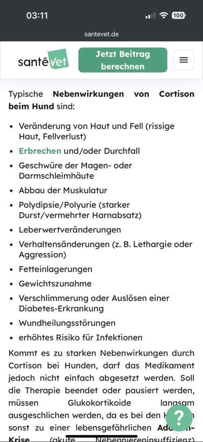 Allergiehilfe für Hunde-Beitrag-Bild