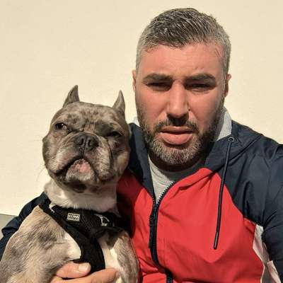 Hundetreffen-Offenburg-Profilbild