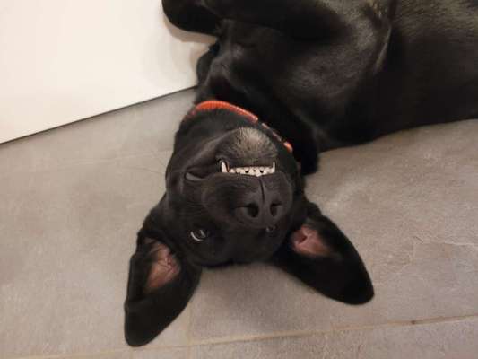 Das beste grinsefoto-Beitrag-Bild