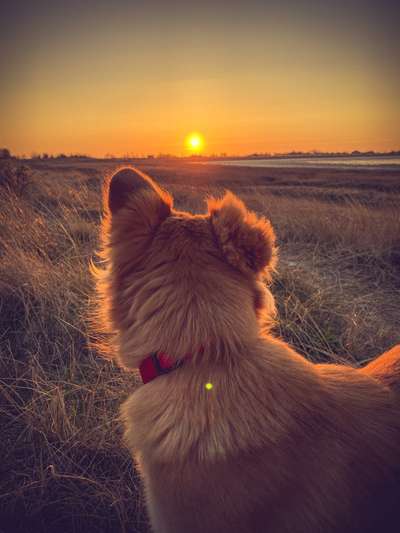 Lieblingsbild :D-Beitrag-Bild