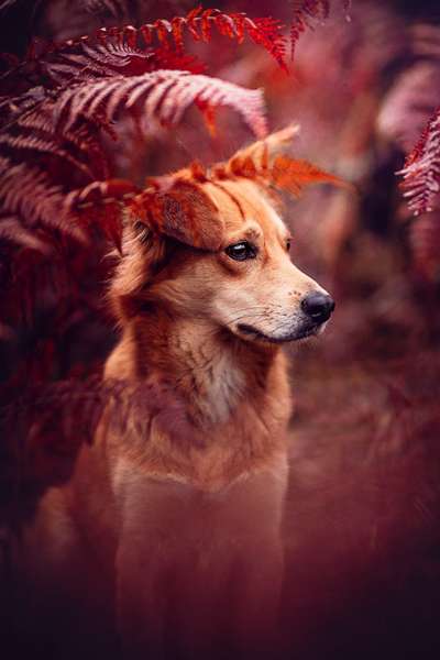 Fotochallenge Nr. 67: Euer Lieblingsbild-Beitrag-Bild