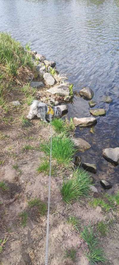 Foto Challenge Nr. 79-Beitrag-Bild