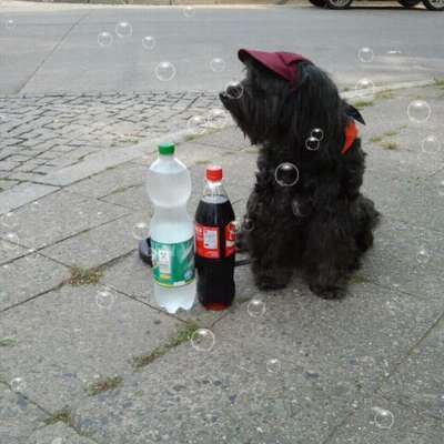 Foto Challenge 82-Beitrag-Bild