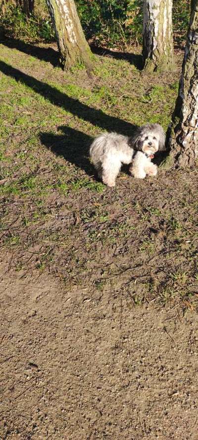 Foto Challenge 82-Beitrag-Bild