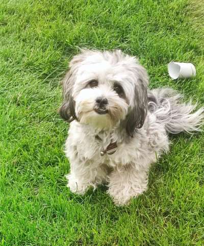 Doppelgänger gesucht !-Beitrag-Bild