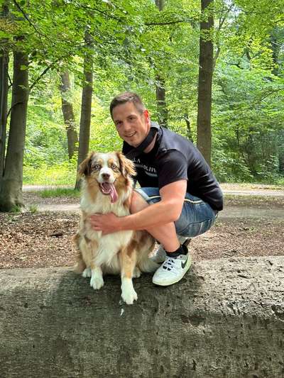 Hundetreffen-Gemeinsame Socialwalks &Playdates-Bild