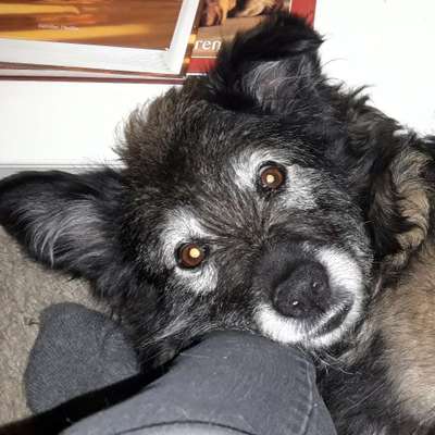 Gabriele's Profilbild