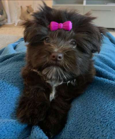 Erstes Bild-Beitrag-Bild