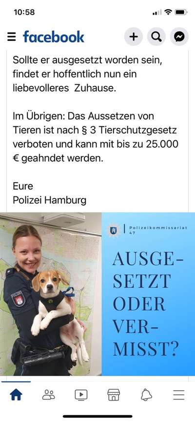 Entlaufene, Gefundene und Vermisste Hunde-Beitrag-Bild