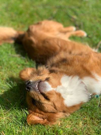 Foto Challange Nr.80-Beitrag-Bild