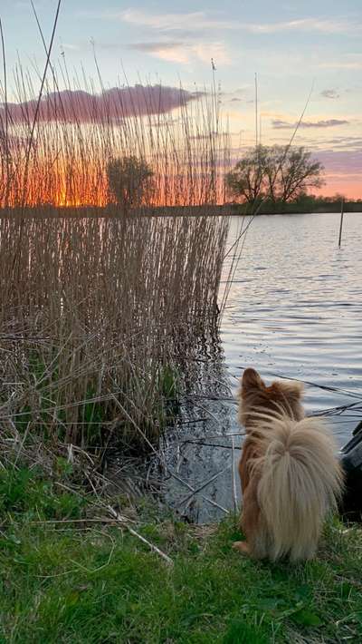 Fotowettbewerb Natur-Beitrag-Bild