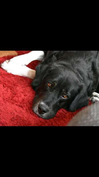 Fotochallange Nr. 57     PORTRÄT.   Beendet!!!!!!!!-Beitrag-Bild