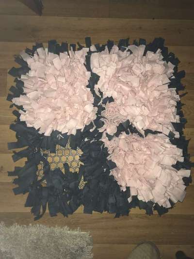 Schnüffelteppich-Beitrag-Bild