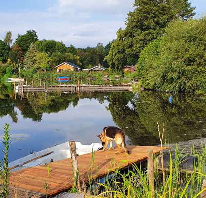 Fotochallenge Nr.100 Urlaubsimpressionen-Beitrag-Bild