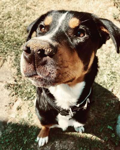 Handy-Foto Challange Nr. 10-Beitrag-Bild