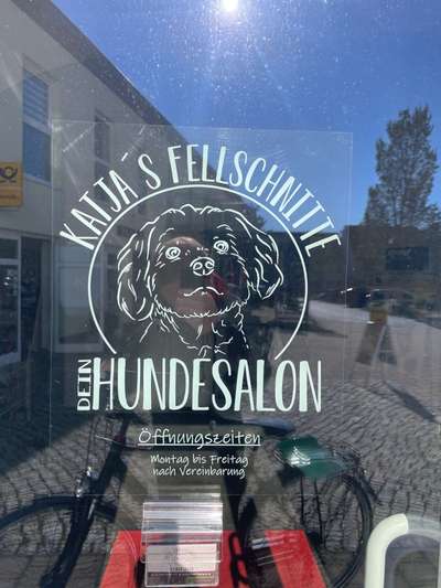 Hundefriseur Bild