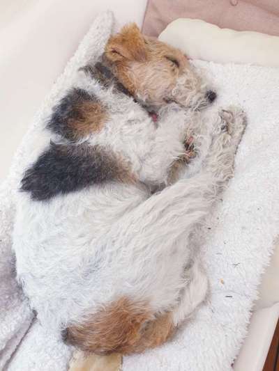 FOTO-Challenge  NR. 91: Die pure Entspannung-Beitrag-Bild