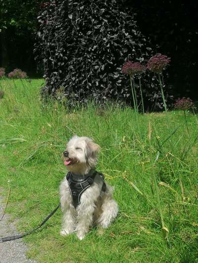 Foto-Challange No.1 - Alles aber nicht die Kamera-Beitrag-Bild